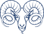 aries